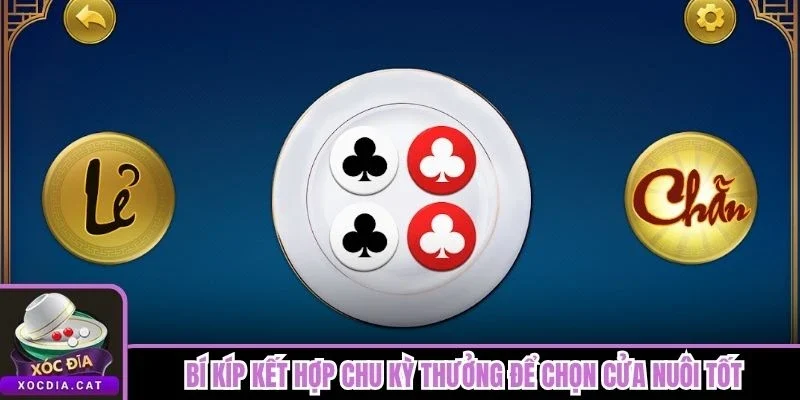 Chiến Thuật Gấp Thếp Trong Xóc Đĩa Cực Dễ Cho Người Mới 3 Bí kíp kết hợp chu kỳ thưởng để chọn cửa nuôi tốt